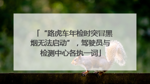 “路虎车年检时突冒黑烟无法启动”，驾驶员与检测中心各执一词