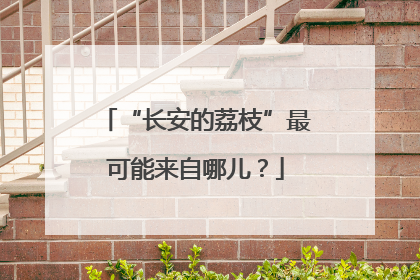 “长安的荔枝”最可能来自哪儿？