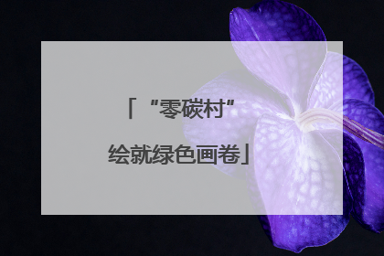 “零碳村” 绘就绿色画卷
