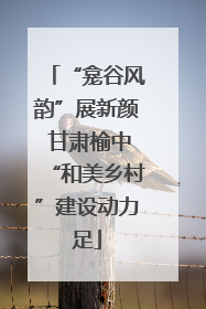 “龛谷风韵”展新颜 甘肃榆中“和美乡村”建设动力足