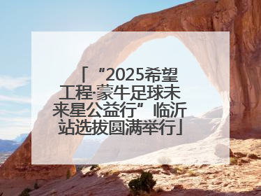 “2025希望工程·蒙牛足球未来星公益行”临沂站选拔圆满举行