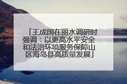 王成国在丽水调研时强调：以更高水平安全和法治环境服务保障山区海岛县高质量发展