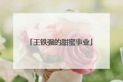 王铁强的甜蜜事业