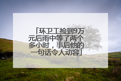 环卫工捡到9万元后雨中等了两个多小时，事后他的一句话令人动容