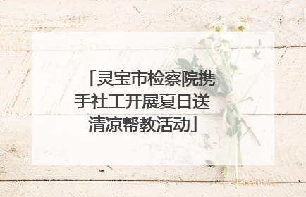 灵宝市检察院携手社工开展夏日送清凉帮教活动