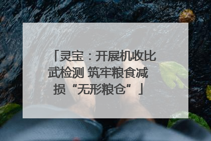 灵宝：开展机收比武检测 筑牢粮食减损“无形粮仓”