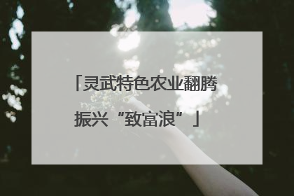 灵武特色农业翻腾振兴“致富浪”
