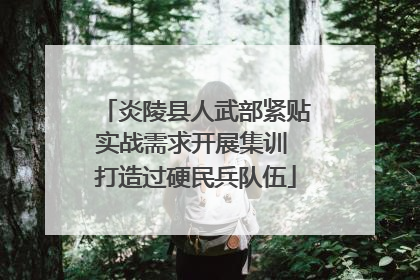 炎陵县人武部紧贴实战需求开展集训 打造过硬民兵队伍
