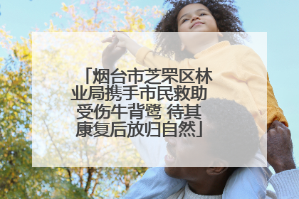 烟台市芝罘区林业局携手市民救助受伤牛背鹭 待其康复后放归自然
