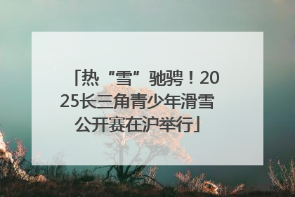 热“雪”驰骋！2025长三角青少年滑雪公开赛在沪举行