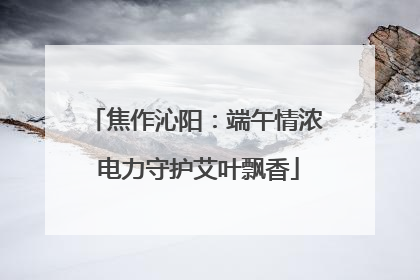 焦作沁阳：端午情浓 电力守护艾叶飘香