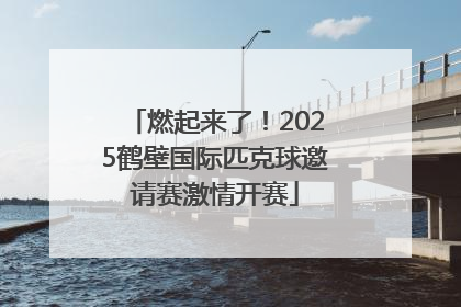 燃起来了！2025鹤壁国际匹克球邀请赛激情开赛