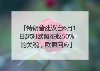特朗普建议自6月1日起对欧盟征收50%的关税，欧盟回应