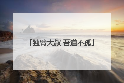 独臂大叔 吾道不孤