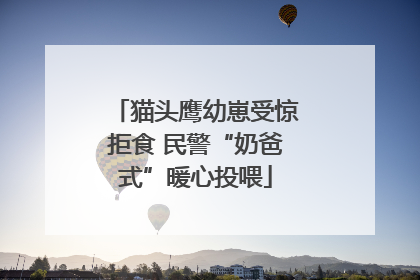 猫头鹰幼崽受惊拒食 民警“奶爸式”暖心投喂