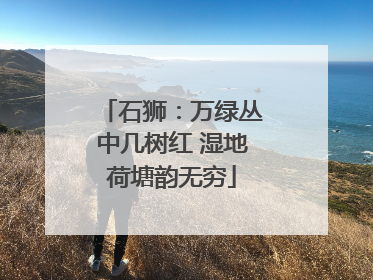 石狮：万绿丛中几树红 湿地荷塘韵无穷