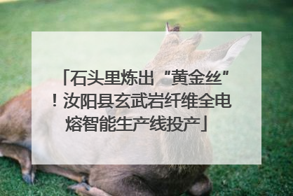 石头里炼出“黄金丝”！汝阳县玄武岩纤维全电熔智能生产线投产
