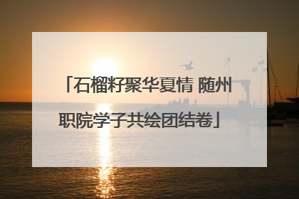 石榴籽聚华夏情 随州职院学子共绘团结卷