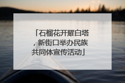 石榴花开耀白塔，新街口举办民族共同体宣传活动