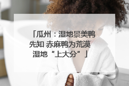 瓜州：湿地景美鸭先知 赤麻鸭为荒漠湿地“上大分”