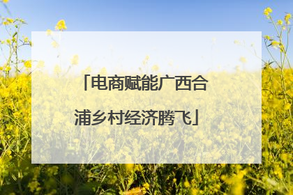 电商赋能广西合浦乡村经济腾飞