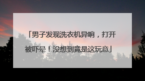 男子发现洗衣机异响，打开被吓晕！没想到竟是这玩意