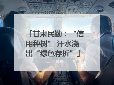 甘肃民勤：“信用种树” 汗水浇出“绿色存折”