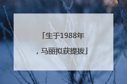 生于1988年，马丽拟获提拔