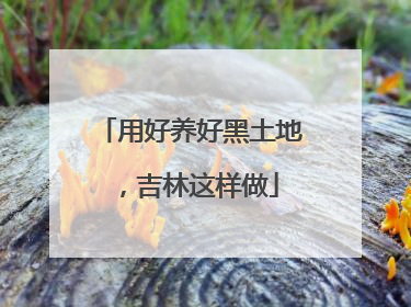 用好养好黑土地，吉林这样做