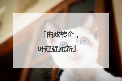 由政转企，叶建强履新