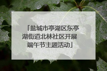 盐城市亭湖区东亭湖街道北林社区开展端午节主题活动