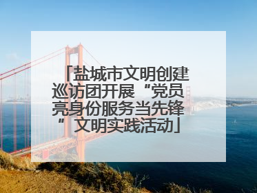 盐城市文明创建巡访团开展“党员亮身份服务当先锋”文明实践活动