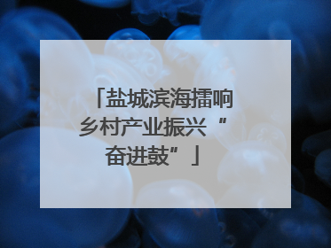 盐城滨海擂响乡村产业振兴“奋进鼓”