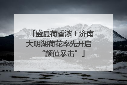 盛夏荷香浓！济南大明湖荷花率先开启“颜值暴击”