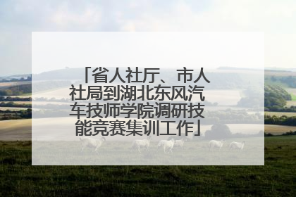 省人社厅、市人社局到湖北东风汽车技师学院调研技能竞赛集训工作
