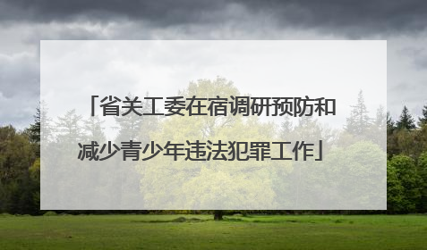 省关工委在宿调研预防和减少青少年违法犯罪工作