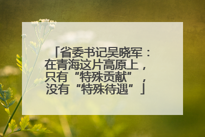 省委书记吴晓军：在青海这片高原上，只有“特殊贡献”，没有“特殊待遇”