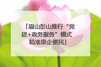 眉山彭山推行“党建+政务服务”模式 精准惠企便民