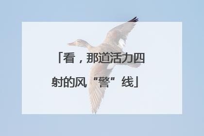 看，那道活力四射的风“警”线