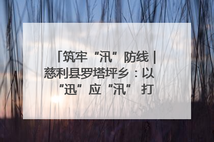 筑牢“汛”防线｜慈利县罗塔坪乡：以“迅”应“汛” 打赢暴雨防御战