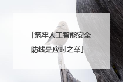 筑牢人工智能安全防线是应时之举
