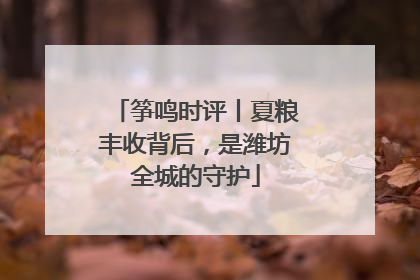 筝鸣时评丨夏粮丰收背后，是潍坊全城的守护