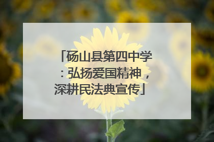 砀山县第四中学：弘扬爱国精神，深耕民法典宣传