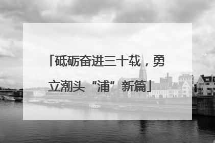 砥砺奋进三十载，勇立潮头“浦”新篇