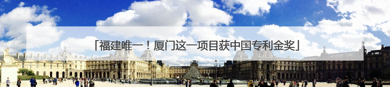 福建唯一！厦门这一项目获中国专利金奖