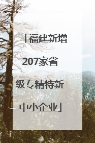 福建新增207家省级专精特新中小企业
