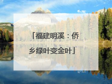 福建明溪：侨乡绿叶变金叶