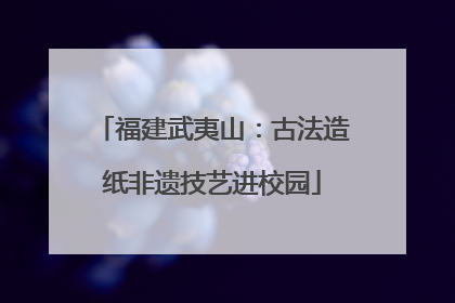 福建武夷山：古法造纸非遗技艺进校园