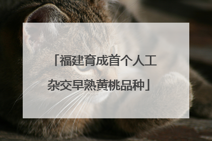福建育成首个人工杂交早熟黄桃品种