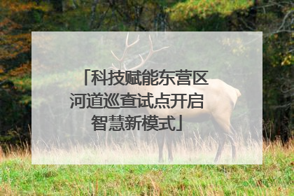 科技赋能东营区河道巡查试点开启智慧新模式